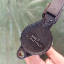 Lade das Bild in den Galerie-Viewer, Image #3
