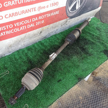 Carica l'immagine nel visualizzatore di Gallery, Image #1
