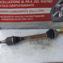 Carica l'immagine nel visualizzatore di Gallery, Image #1
